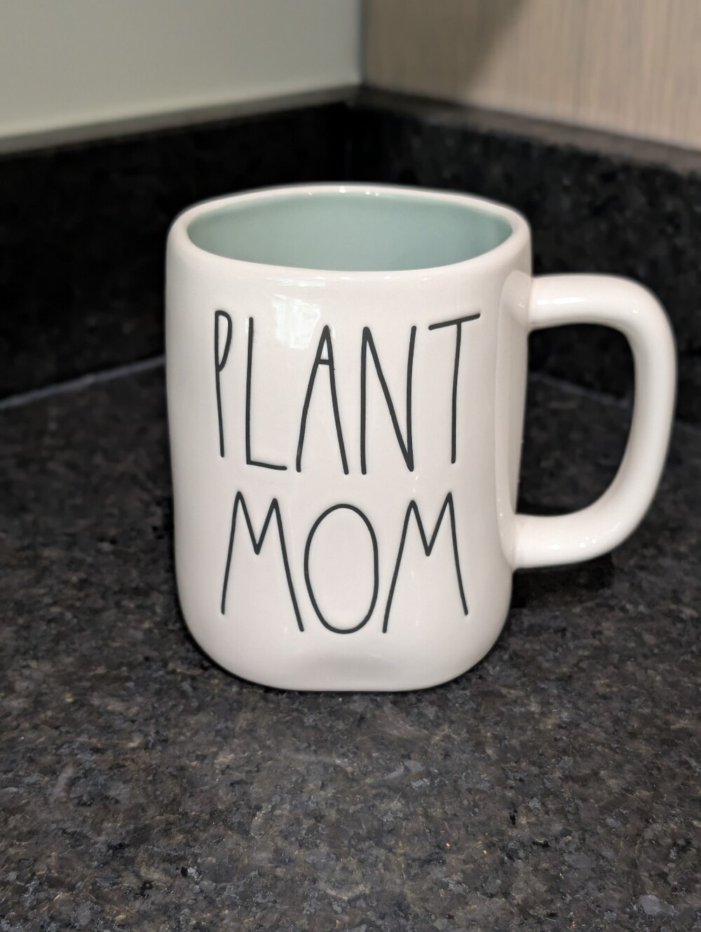 Rae Dunn Plant Mom Ceramic Coffee Mug - White with Mint Interior